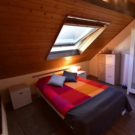Проживание в семье House