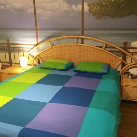 House בית אירוח